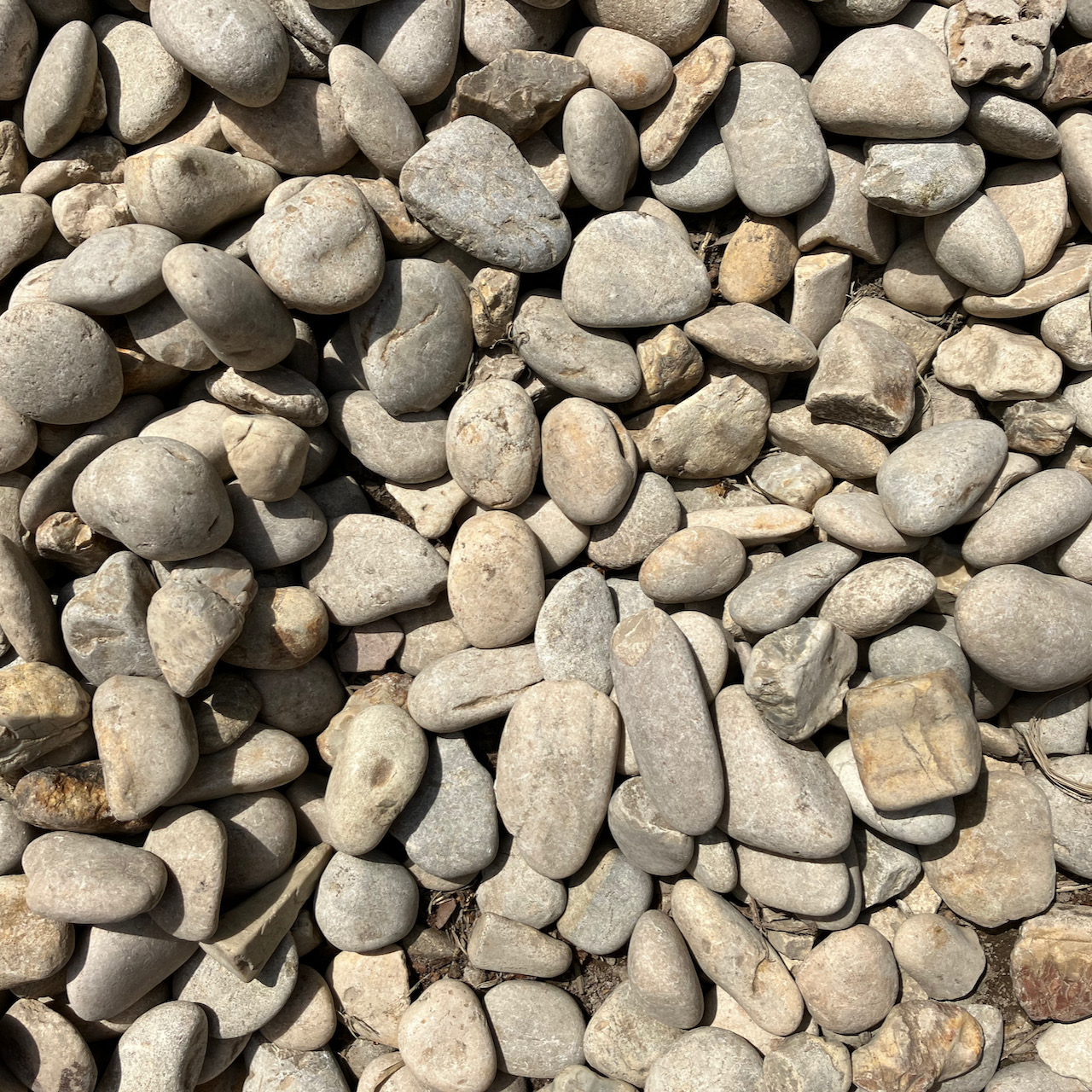 Rounded smooth river stones, mostly light grey and beige, Rome